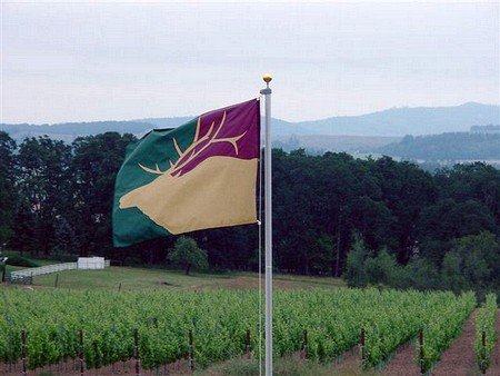 The Making of a Great Pinot Noir