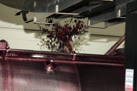 The Making of a Great Pinot Noir