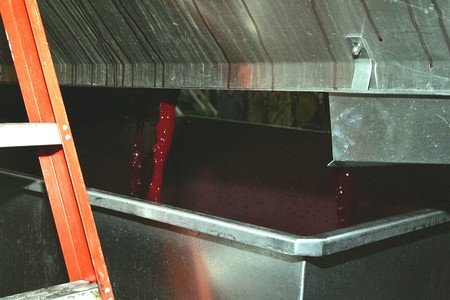 The Making of a Great Pinot Noir