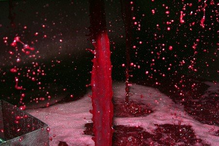 The Making of a Great Pinot Noir