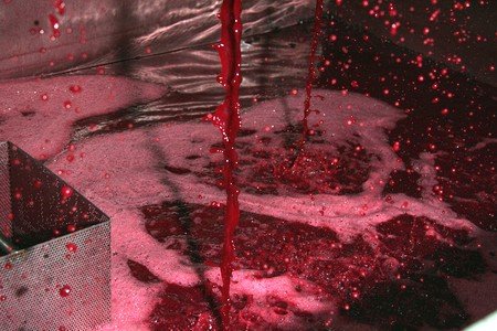 The Making of a Great Pinot Noir