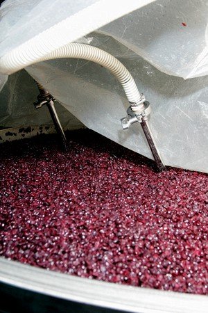 The Making of a Great Pinot Noir