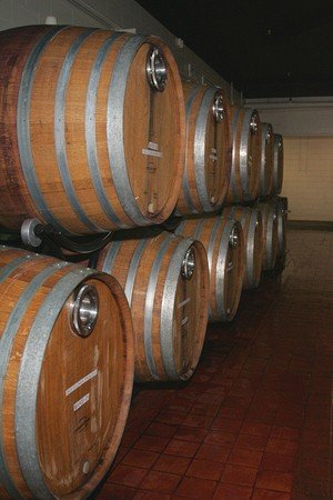 The Making of a Great Pinot Noir